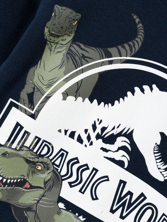 NMMNIJAL JURASSIC LS TOP NOOS SKY
