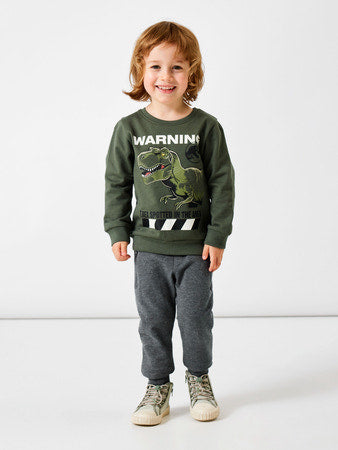 Jurassic park T-rex - Name it