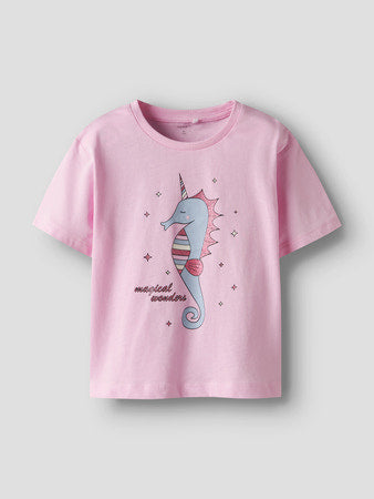 NMFFREJANE SS NREG TOP