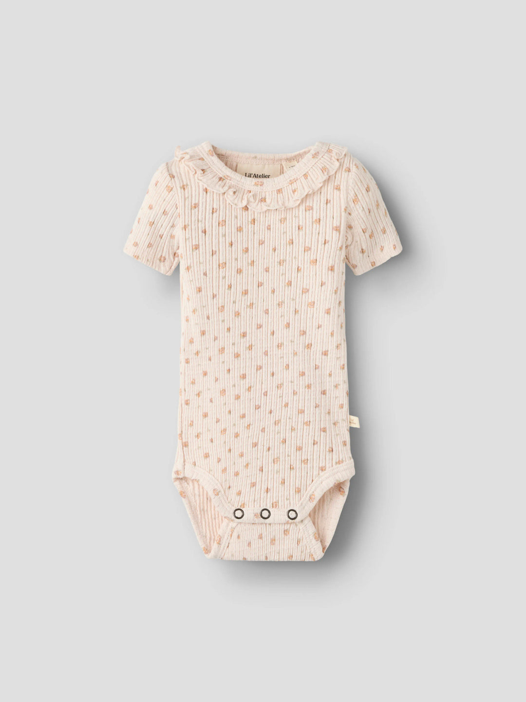 Lil’Atelier body Hulla – Shell
