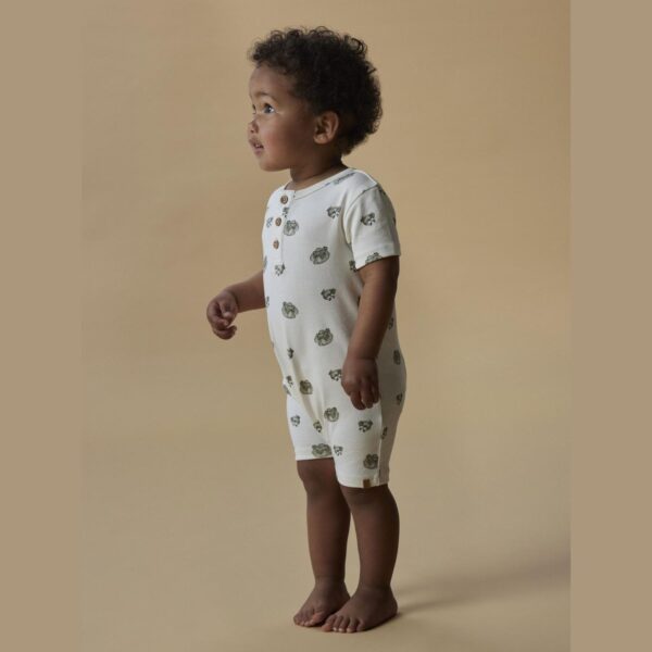 Gayo san ss loose suite lil