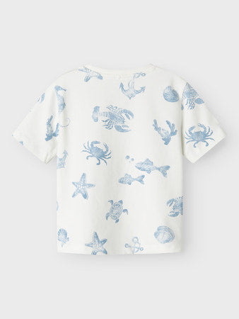 NMMFILLE SS TOP BOX